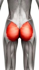 EMS Reshape Body Sculpt-thumb-4