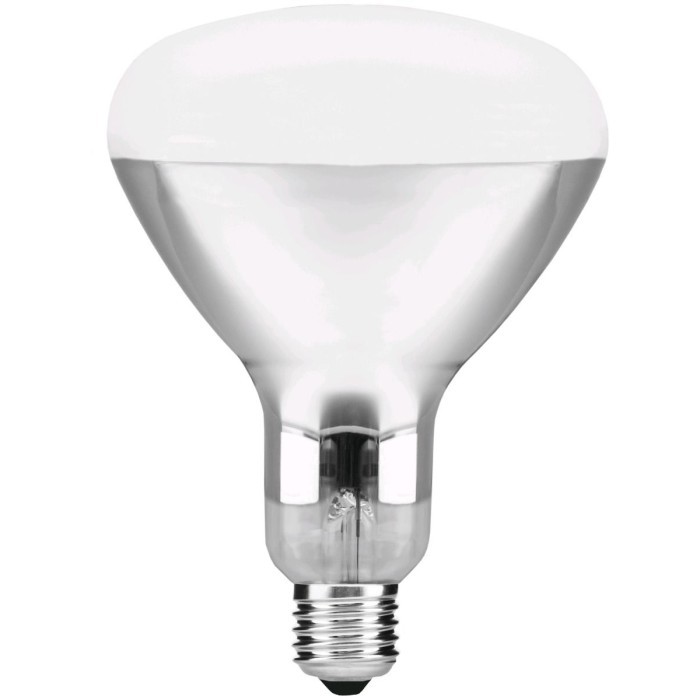 Avide Λάμπα Υπερύθρων E27 100W Διάφανο