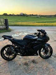 Kawasaki Ninja 250 R 2010