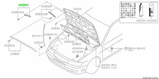 ΤΣΙΜΟΥΧΑ ΛΑΣΤΙΧΟ ΚΑΠΟ  NISSAN  ALMERA N15   658200N001