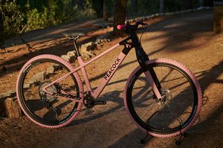 rigid fork 29er-thumb-3