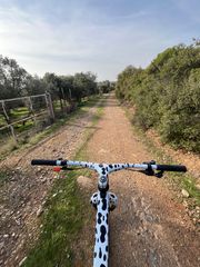 rigid fork 29er-thumb-4