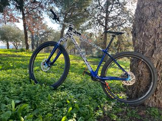rigid fork 29er-thumb-5