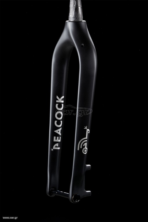 rigid fork 29er