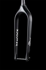 rigid fork 29er-thumb-6