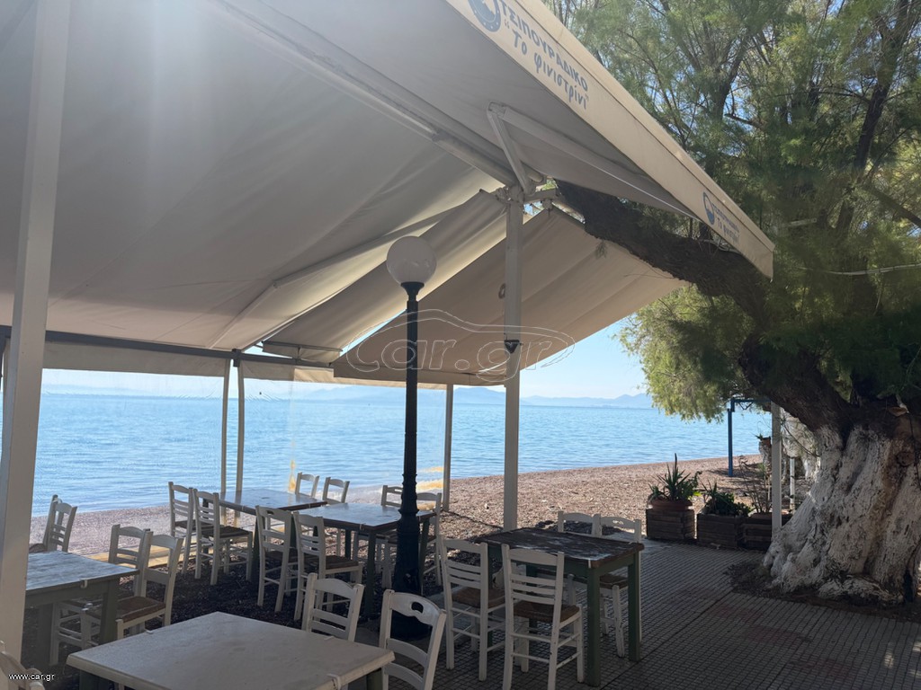 Τέντες και ανεμοθραυστες