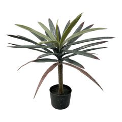 Διακοσμητικό φυτό Dracaena palm σε γλάστρα Inart πράσινο pp Υ62εκ