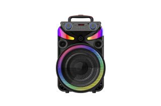 Φορητό ηχείο Bluetooth1x15inch