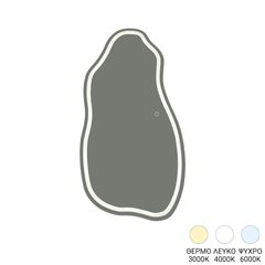 Καθρέπτης Wervia pakoworld led 60x2.5x120εκ