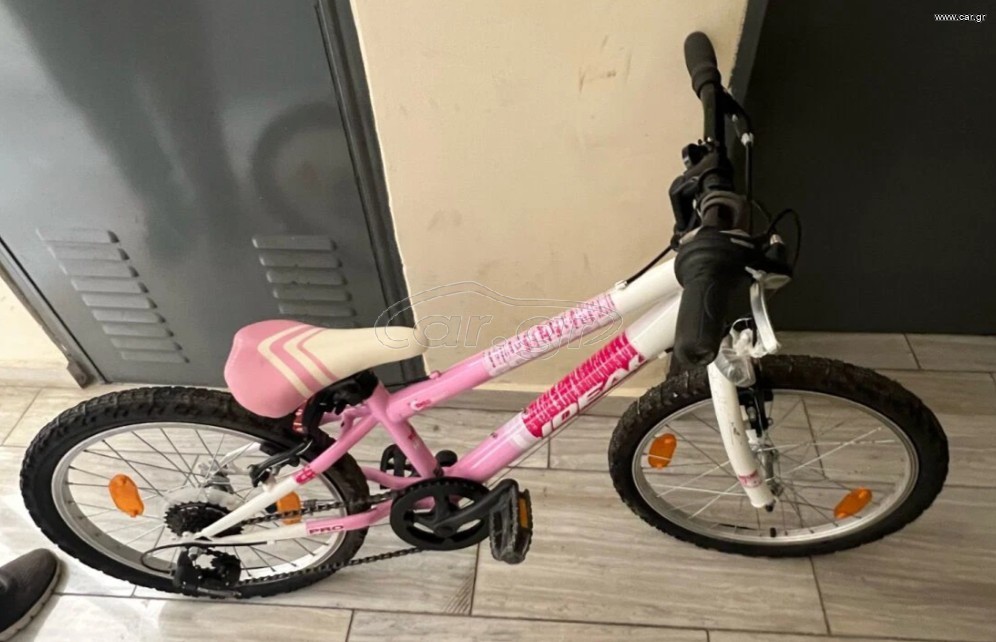 All - Mountain Ideal 2023 Condor