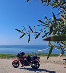 Honda CB 400SF 1999 cb400sf-thumb-3