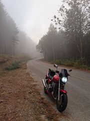 Honda CB 400SF 1999 cb400sf-thumb-35