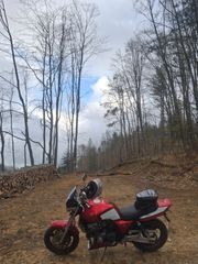 Honda CB 400SF 1999 cb400sf-thumb-37
