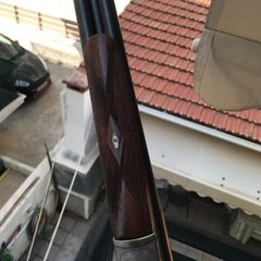 ROBUST ST.ETIENNE No26 RAYE