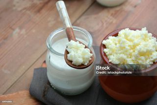 μύκητας kefir γαλακτος βιολογικο
