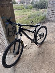 Downhill - Enduro - Trail Sunn 2024