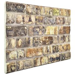 Πάνελ τοίχου 10 τμχ. 100 x 50 cm Πολύχρωμο Αφρός EPS 332928