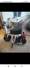Mini..moto 2004