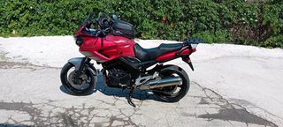 Yamaha TDM 900 A 2009-thumb-1