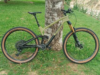 Downhill - Enduro - Trail 2024-thumb-14