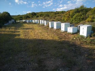 ΠΩΛΟΥΝΤΑΙ ΔΥΝΑΤΑ ΜΕΛΙΣΣΙΑ ΔΙΩΡΟΦΑ (ΧΑΛΚΙΔΙΚΗ)