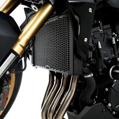 R Racing Pro Radiator Guard-thumb-2