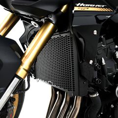 R Racing Pro Radiator Guard