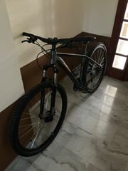 All - Mountain Ideal 2019 Zigzag