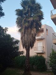 Φοινικας