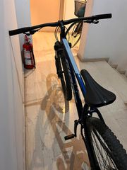 All - Mountain Giant 2024 Talon 5-thumb-4