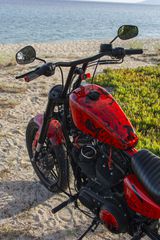 Harley Davidson Sportster Roadster 2018