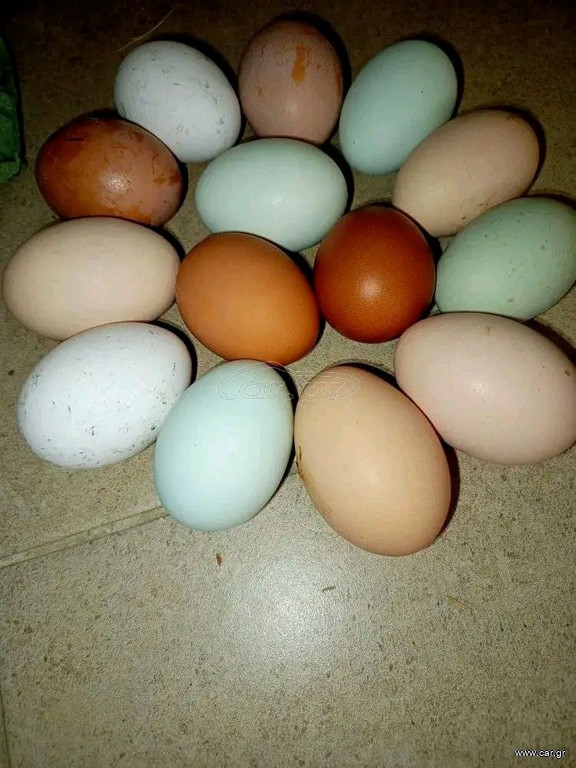 Αυγά χωριάτικα