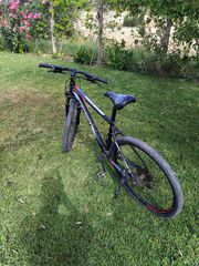 All - Mountain Ideal 2020 Prorider-thumb-2