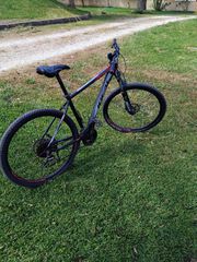 All - Mountain Ideal 2020 Prorider-thumb-3
