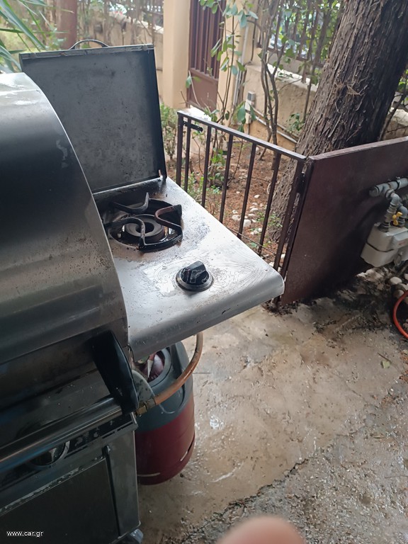 Barbecue κήπου