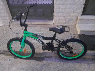 BMX United 2020 shark