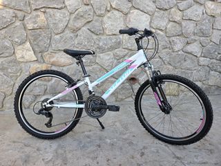 All - Mountain Sector 2022 Intro FS 24"