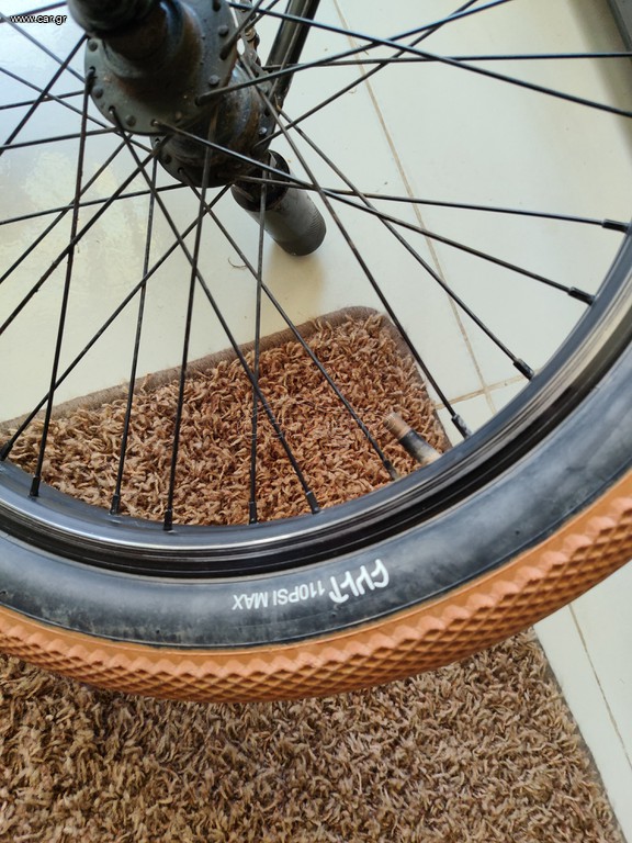 BMX Accell Group 2024