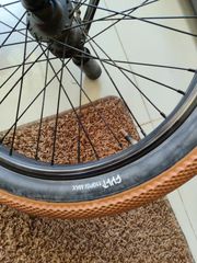 BMX Accell Group 2024