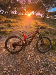 Downhill - Enduro - Trail Canyon 2020