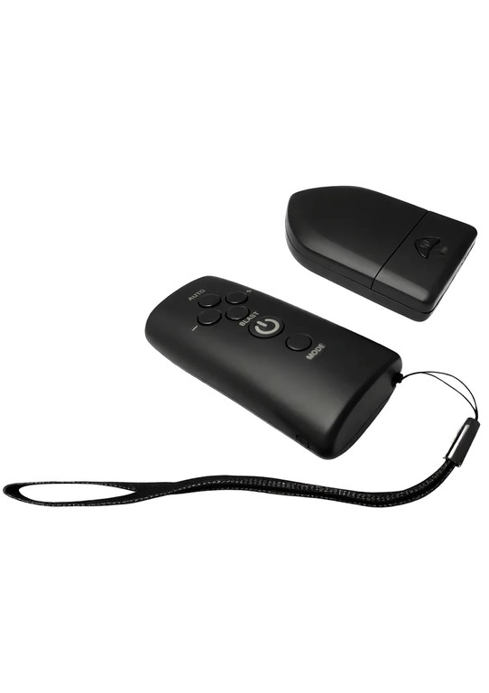 Hidden Desire Electro Cock Cage Remote Control