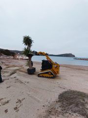Φορτωτής Με Ερπύστριες CAT 2021 279d3