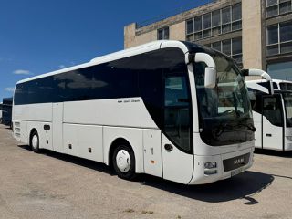 MAN 2016 LION S  COACH