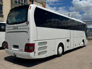 MAN 2016 LION S  COACH-thumb-2