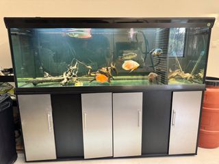 Ενυδρείο anubias 600lt