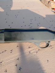 STOEGER 20cal.-thumb-4
