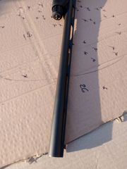STOEGER 20cal.-thumb-5
