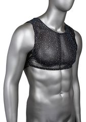 CalExotics Radiance Crop Top os-thumb-1