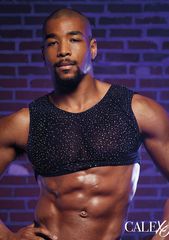 CalExotics Radiance Crop Top os-thumb-2