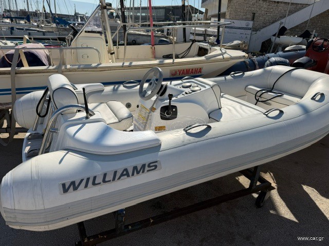 Williams 2010 325
